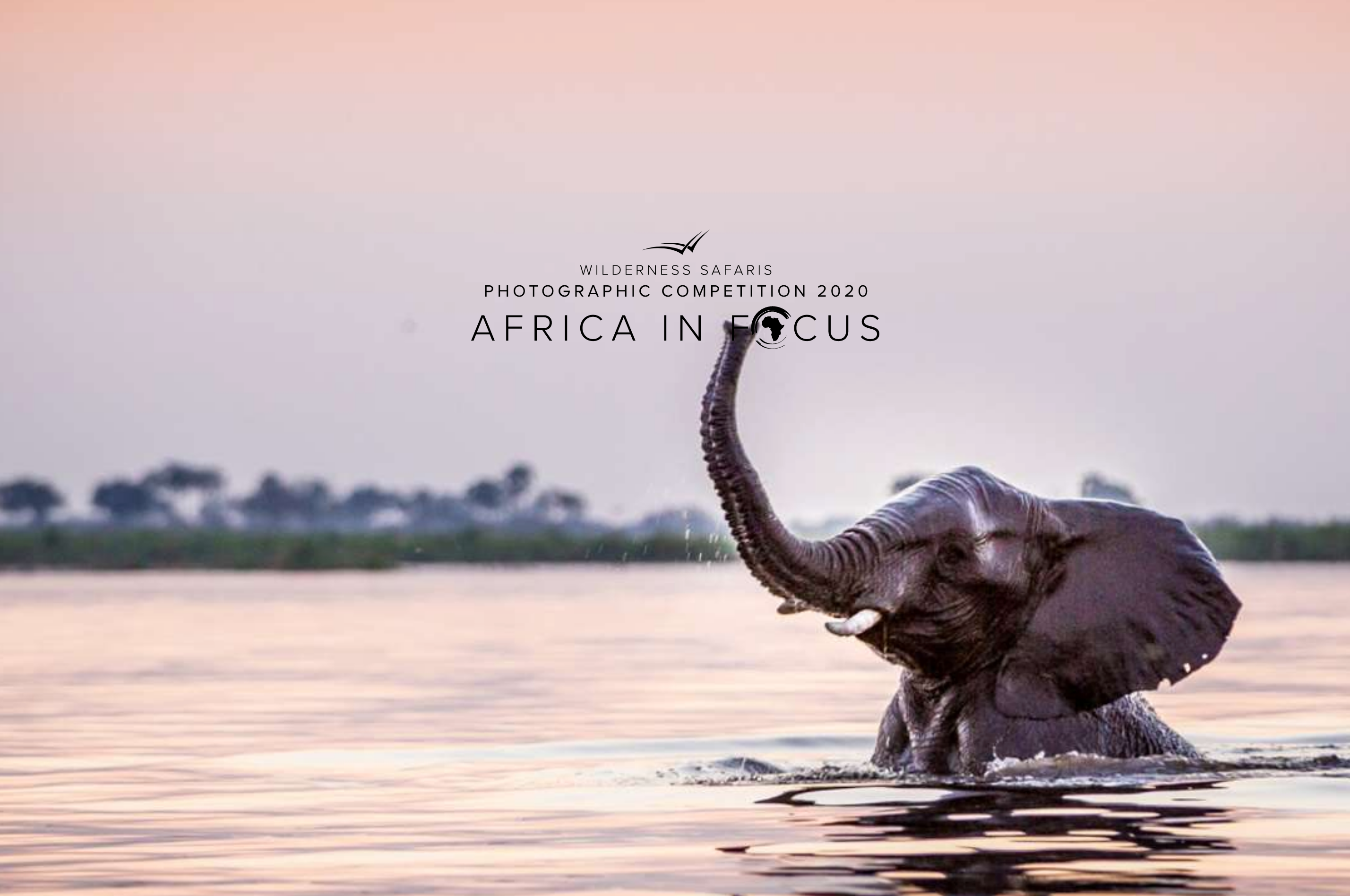 Wilderness Safari Photography Competition 2020 Winner - Willow