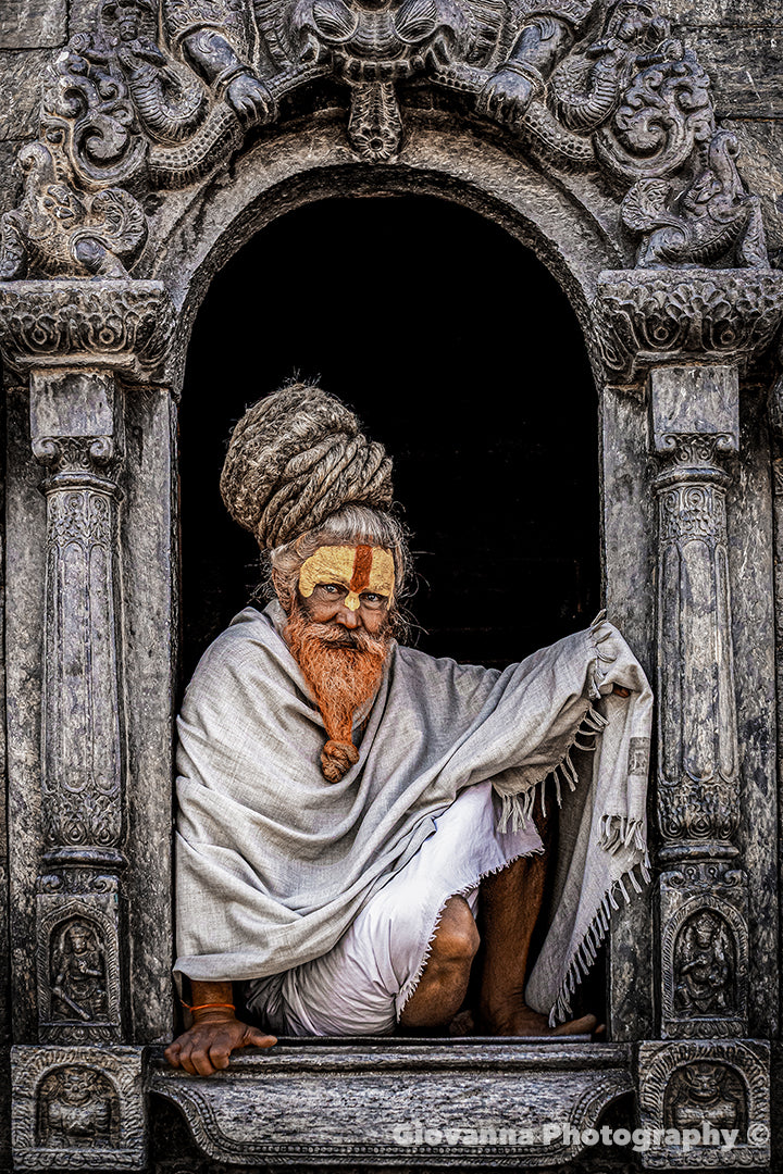 Crown of Wisdom