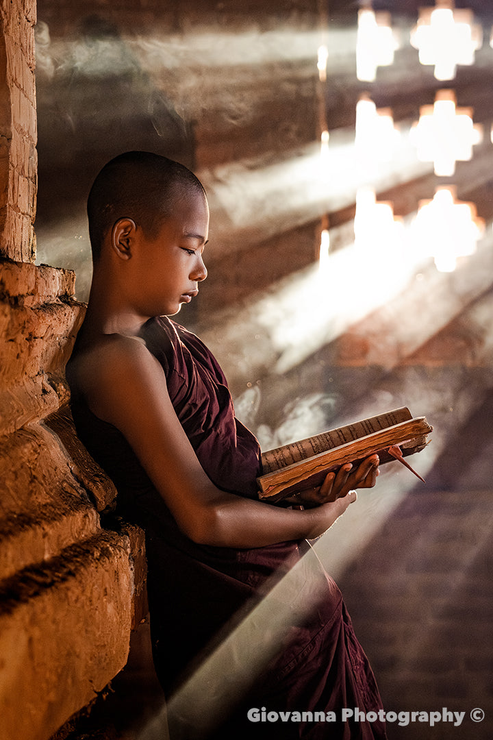 Morning Light