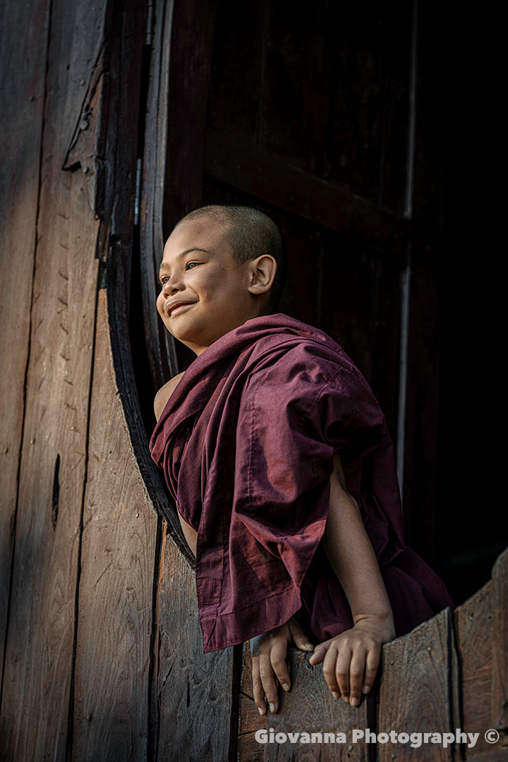 Quiet Joy
