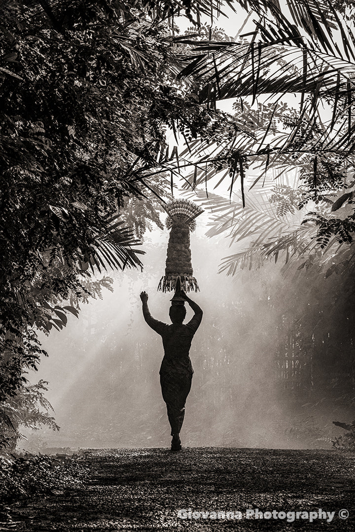 The Light of Dawn