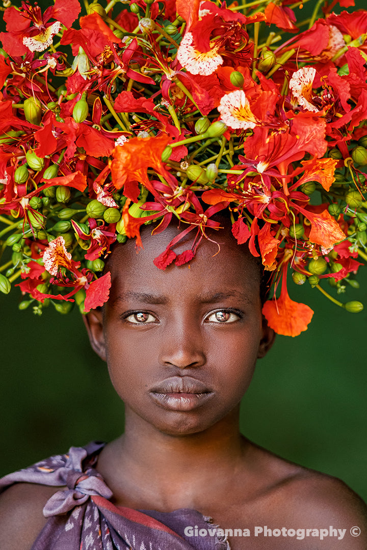 The Red Crown - Strength and beauty in a single glance