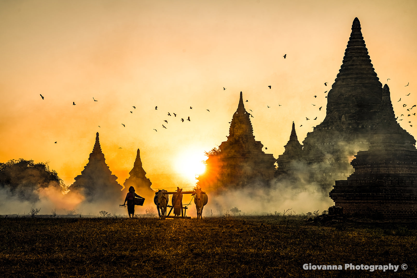 When Light Touches the Temples - The Sacred Rhythm of Earth