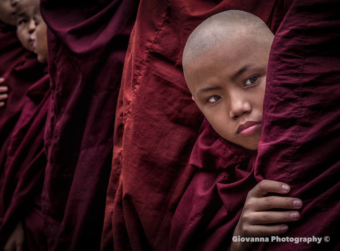 Curious Monk