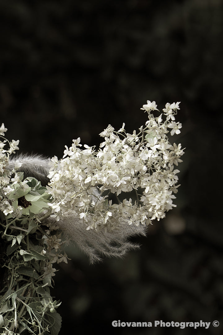 Flowers in full bloom - Right