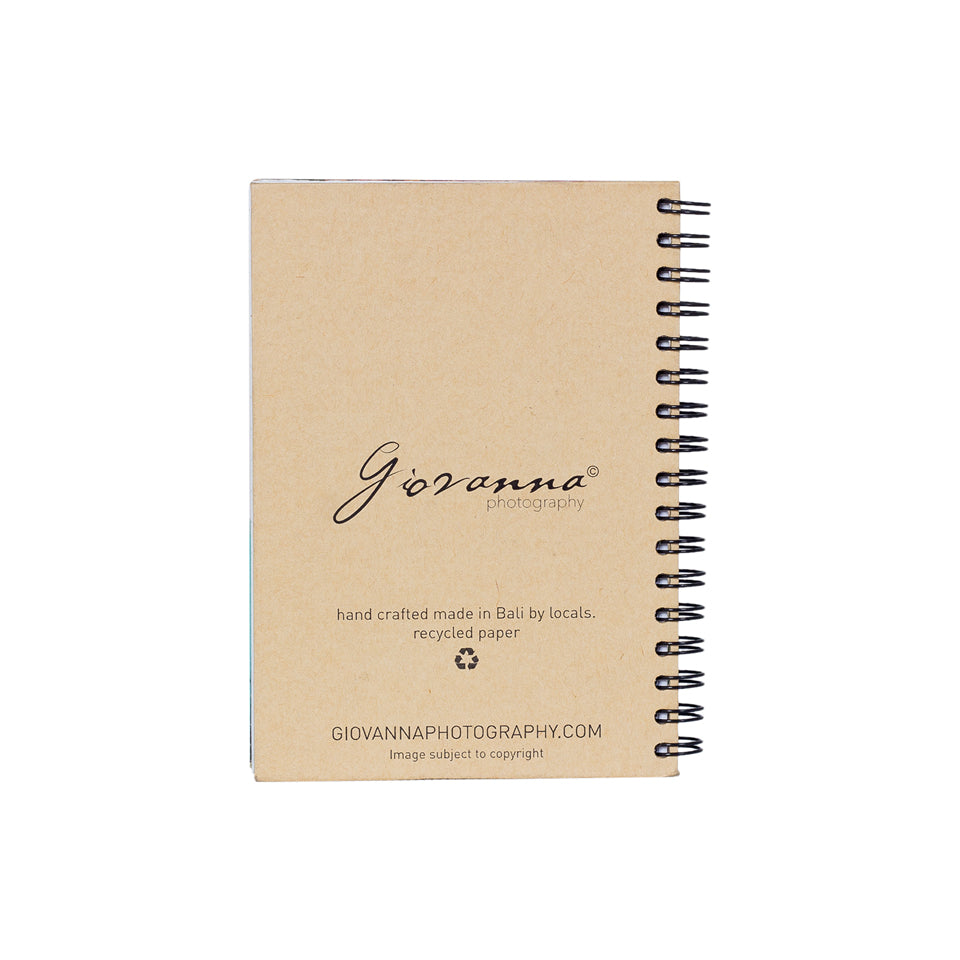 Journal - Amara