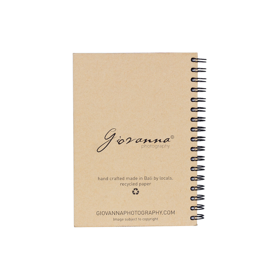 Journal - Willow