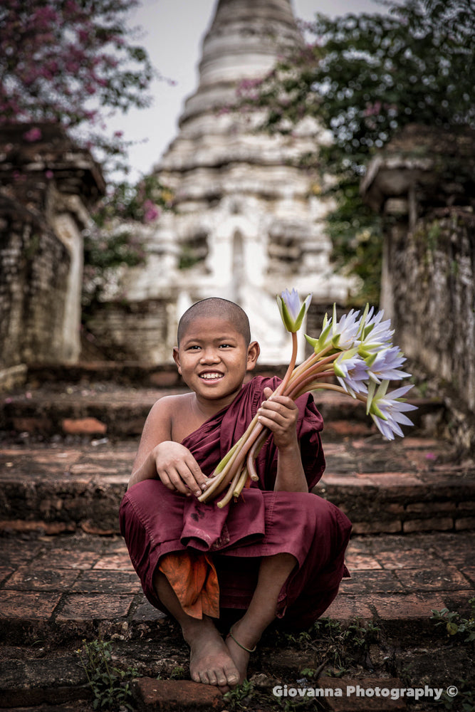 Lotus Flowers