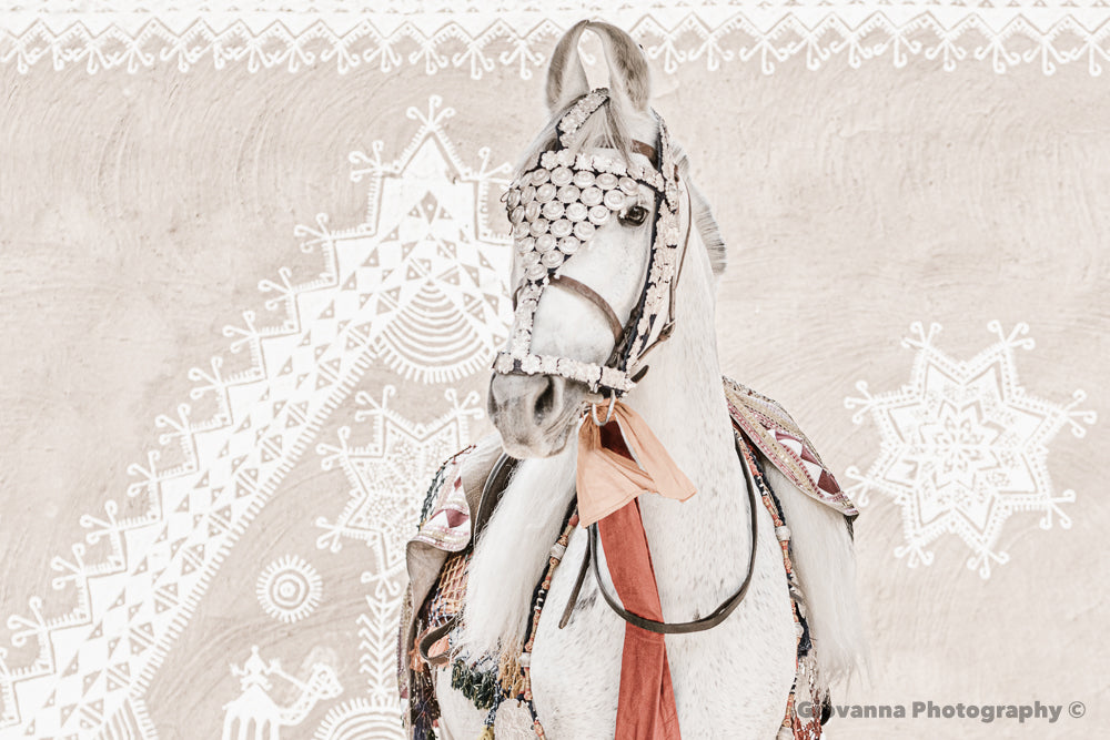 Shanti - Majestic