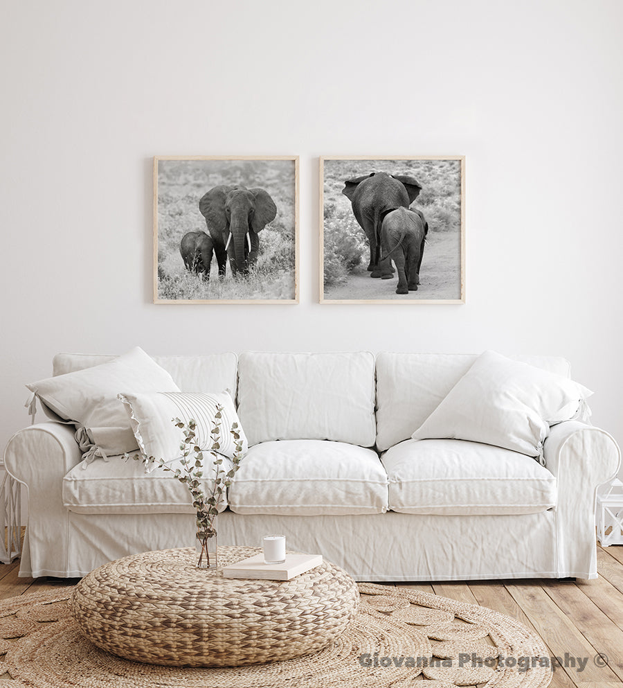 Little Tusker