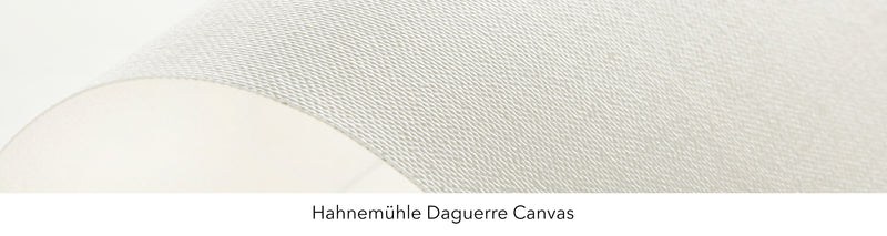 Fine Art Canvas