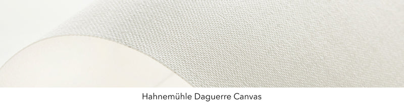 Fine Art Canvas