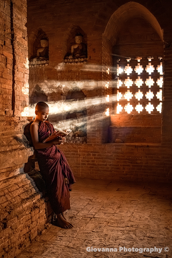 Sacred Light - A quiet moment of study