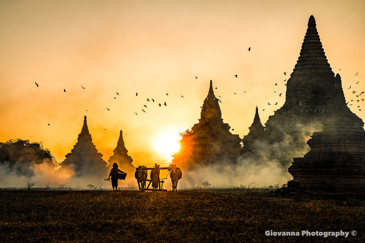 When Light Touches the Temples - The Sacred Rhythm of Earth