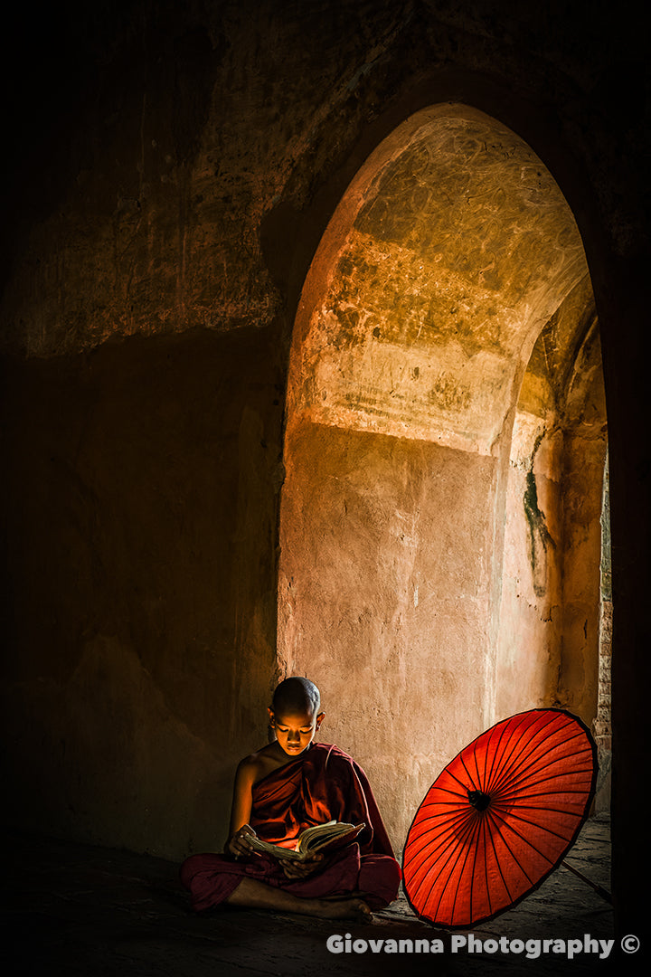 Wisdom in Light
