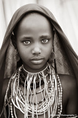 Arbore