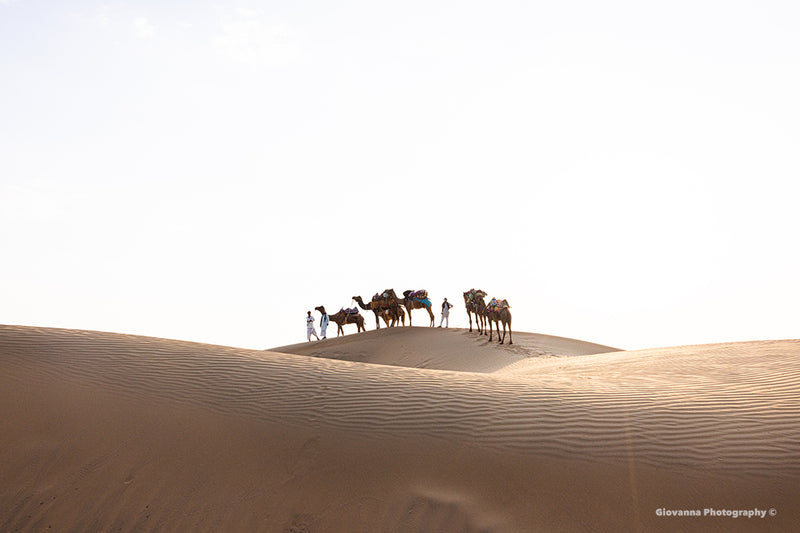 Camels and Dunes