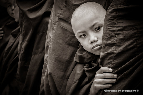 Curious Monk (Sephia)