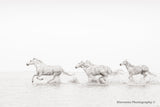Run Free