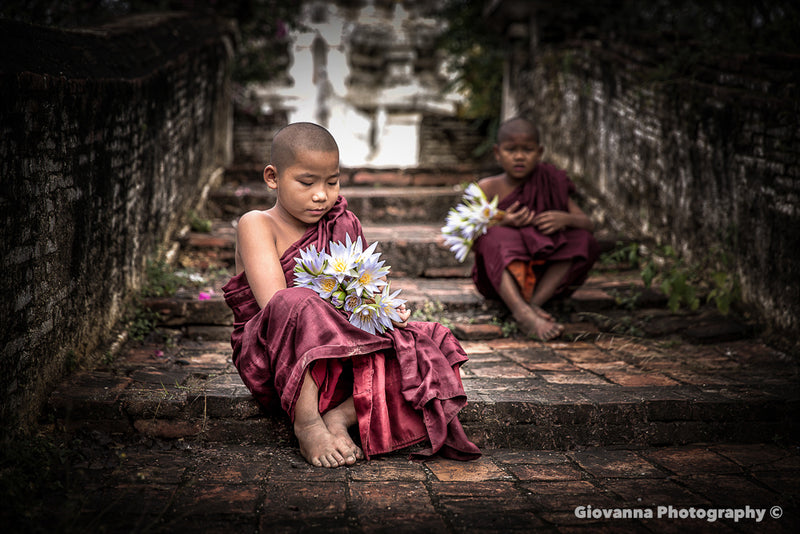 Young Monks with Lotus Flowers