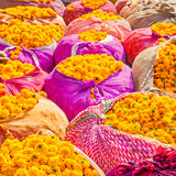 Marigolds & Sari's